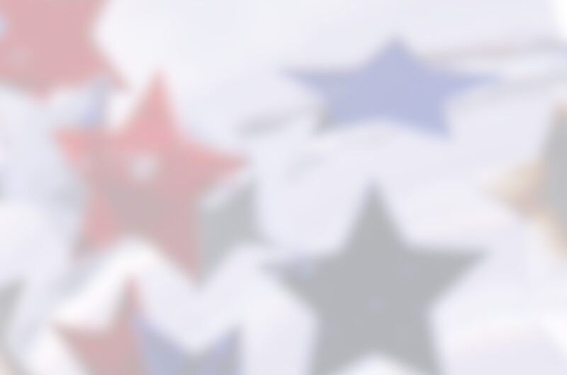 Veterans Day Star Graphic